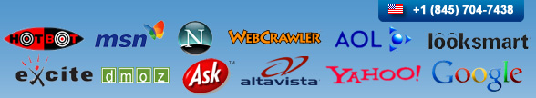 Professional Web Directory Submission