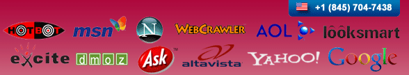 Professional Web Directory Submission